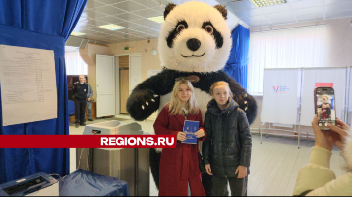 Необычный гость на избирательном участке: панда поздравила ступинскую девушку с первыми выборами Новости Ступино 