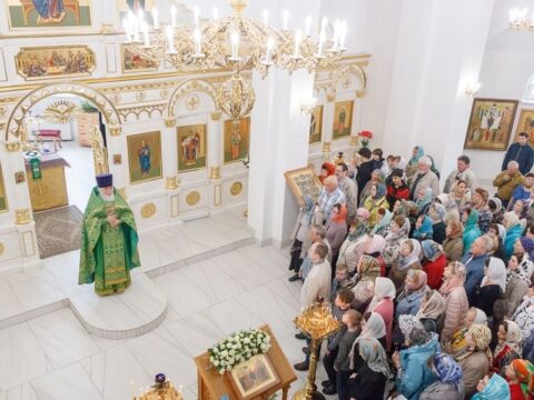 Праздник Входа Господня в Иерусалим отметили православные в Ступине Новости Ступино 