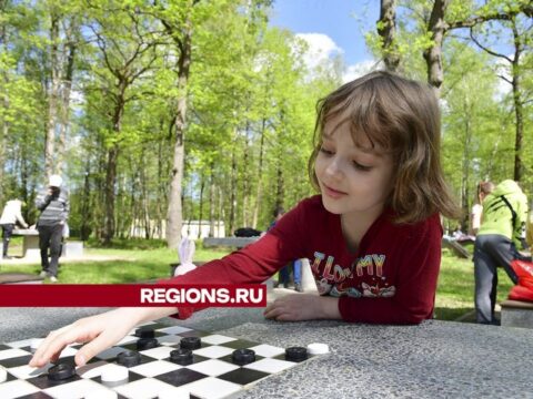 Цикл соревнований на свежем воздухе открыли ступинские шашисты Новости Ступино 