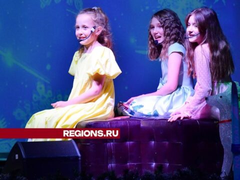 Взрослые и дети: кто кого не понимает, ответят актеры нового мюзикла «Лабиринты детства» Новости Ступино 